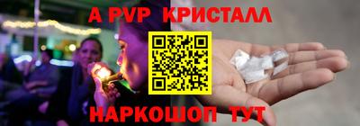 прущие крисы Малгобек