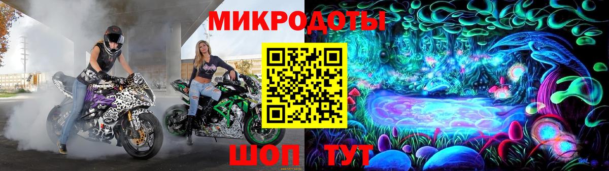 Галлюциногенные грибы Psilocybe  Вход с VPN  купить наркотики цена  Тулун 